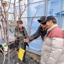 한림농원 | 2026년 고품질 대추재배교육 교육생 모집