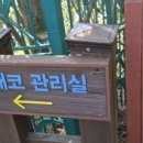 돈내코로 | 또 돈내코로(제주방문후기 둘째날)(&#39;24. 9. 14.)