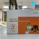 천안터미널 동물약국 이미지