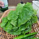 서귀포갈비 이미지