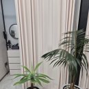 다윤테라피