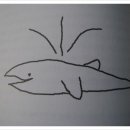 고래반점 이미지