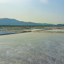 신도조각