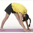 썬휘트니스 이미지