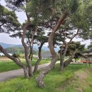 운봉읍 삼산마을 이미지