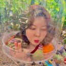 신가도서관 | #경주여행기1탄_경주 동궁원 방문 | 어린이날 연휴 가족 나들이 추천 (5월 여행)