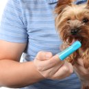 고덕24시 동물병원 이미지