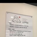 조으냥 이미지
