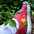 영어발레 이미지