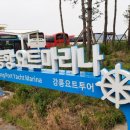 송화여행사