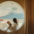 스테이더담 백학 | 대전 근교 독채펜션 스테이더담 도율점 옥천 한옥 숙소 후기