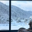 쩐다육