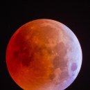 신비부동산공인중개사사무소 이미지