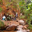 광은농장 이미지