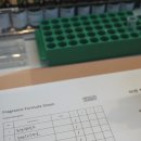 이로우라 이미지