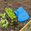 문산그린농약사 이미지