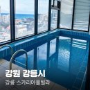 스카리아 | 강릉 숙소 내돈내산 추천, 가성비 좋은 개인수영장 스카리아풀빌라 501호 솔직후기 (강문해변 앞 숙소)