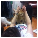 아찌네분식 이미지