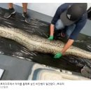 우림지질(주) 네이버블로그