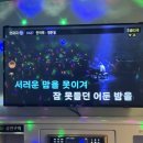 제로백 코인노래연습장 네이버블로그