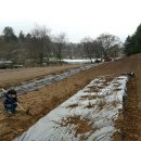 초성 농장 이미지