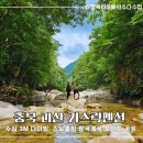 칠성면사무소 | [여름휴가추천] 괴산 쌍곡계곡 스노쿨링 다이빙 포인트 추천 기스락펜션 평상 이용후기