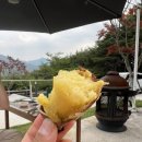힐모텔앤펜션 | 밀양 글램핑 추천 청도브리즈힐캠핑앤카라반 아이와 함께 다녀온 솔직 후기