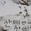 욜로종합관리 이미지