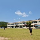 대구 근교 고령 안림 딸기마을 캠핑장 후기