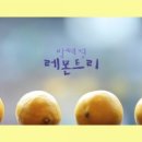 레몬트리 이미지