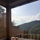 은하수커피 이미지