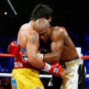 CLINCH복싱 이미지