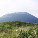 제주휴가 이미지