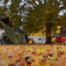 사나래캠핑장 이미지