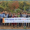 태기산치유마을 이미지