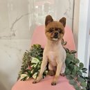 오락반장요미 이미지