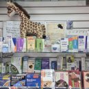 용인동물약국 이미지