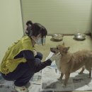 안성동물의료센터 이미지