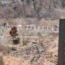 고운사