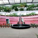 충남화원