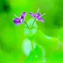 그대그리고나 이미지