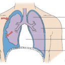 디아더짐 이미지