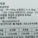 오도그 이미지