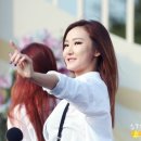 광장인삼