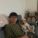 크러쉬 이미지