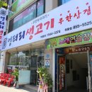 엉터리 생고기 이미지