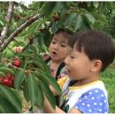 스마일교육농장