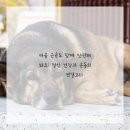 포유피티스튜디오 일광점 이미지