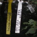 오상호 농장 Daum카페