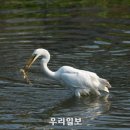광주광역시야생동물구조관리센터 이미지